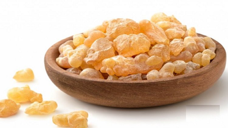 Boswellia Market Outlook by Application: Size and Growth Trends till 2032