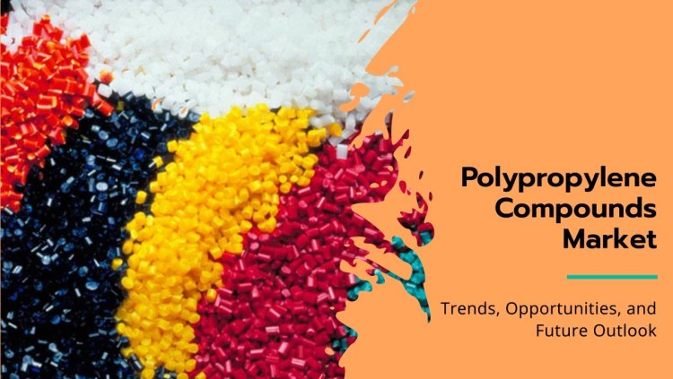 Innovations in Polypropylene Compounds: Sustainability and Performance Across Industries