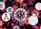 Comprendre le métapneumovirus humain (HMPV) : ce que vous devez savoir