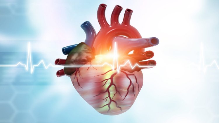 Key Innovations Driving Growth in the Cardiogenic Shock Treatment Market