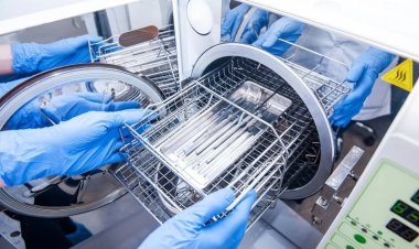 Sterilization Equipment Market Growth Trends 2025 | Key Industry Insights