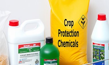 Global Crop Protection Chemicals Market: Trends, Opportunities, and Outlook to 2030