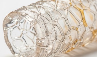 ブラスケム、アップサイド合弁会社から撤退し、中核事業に再注力