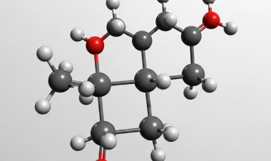 2025年5月まで反ダンピング調査が継続され、インドのEDA市場に不確実性が迫る