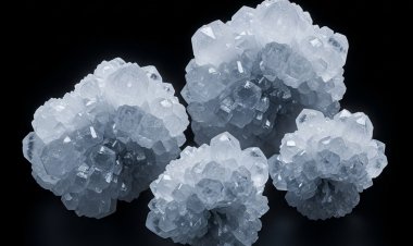 クエン酸ナトリウム二水和物の輸入価格は、第2四半期が進むにつれて北米全体で高止まりしています