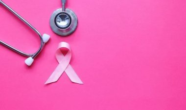 Breast Imaging Market Size, Trends & Growth Forecast 2024-2035 | Global Insights