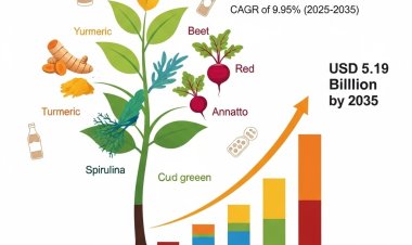 Natural Food Colors Market Size, Trends & Forecast (2024–2035) | CAGR of 9.95%