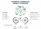 Global Cosmetic Chemicals Market Size 2025-2035 | Growth CAGR of 8.10%